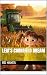Leia's Cornfield Dream