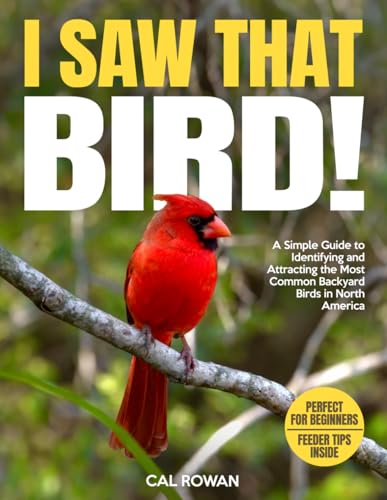 I Saw That Bird!: A Simple Guide to Identifying and Attracting the Most Common Backyard Birds in North America (Paperback)