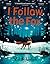 I follow the fox