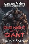 One Night with a ...