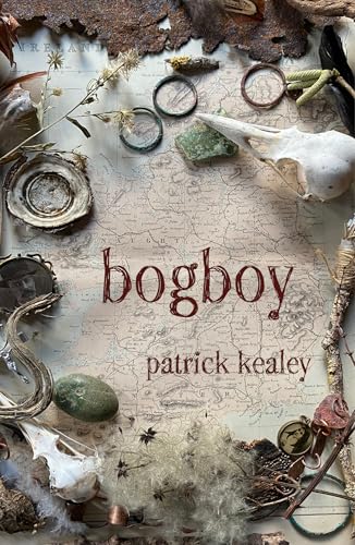 Bogboy (Kindle Edition)