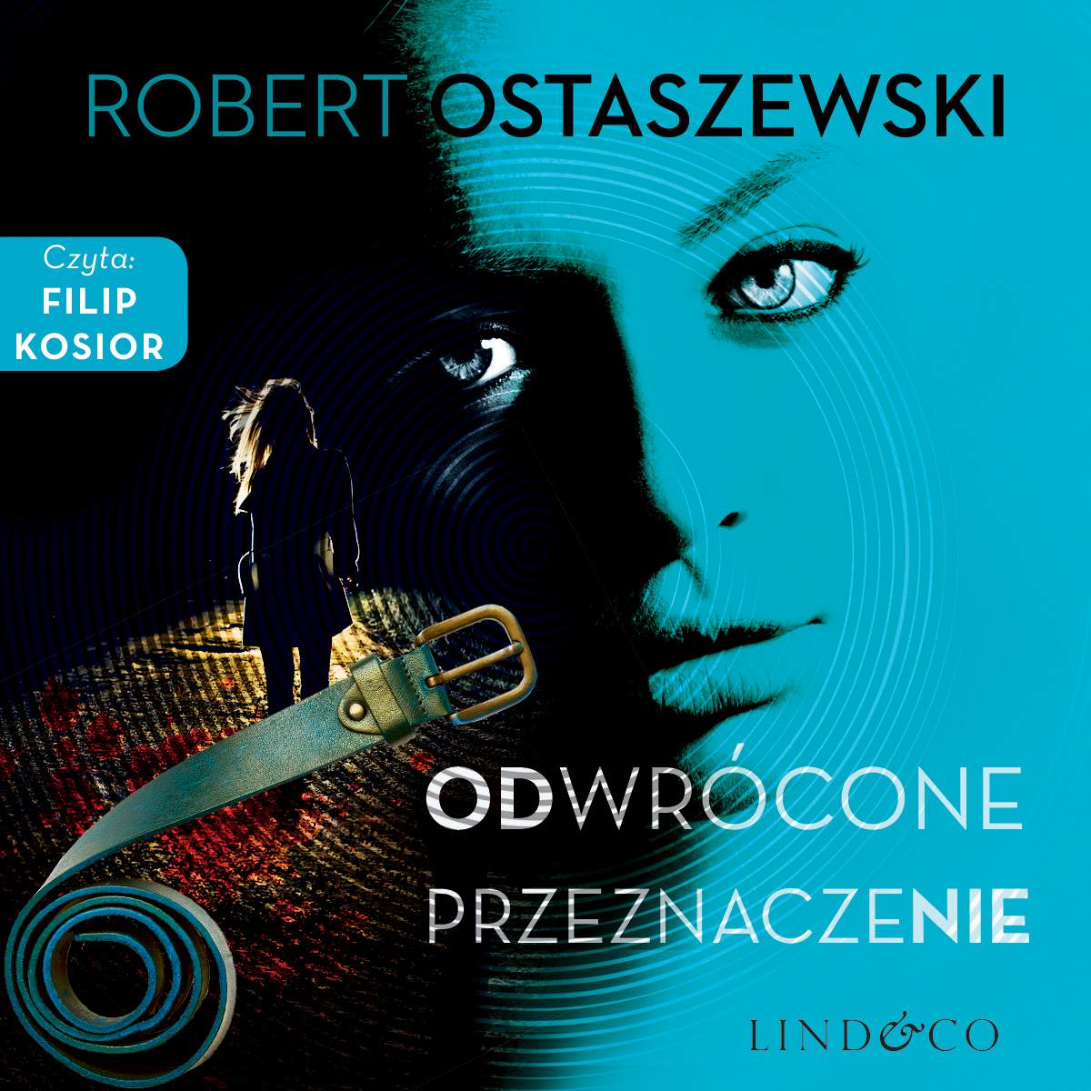 Odwrócone przeznaczenie (Zemsta & Partnerzy, #1)
