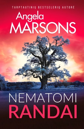 Nematomi randai (DI Kim Stone, #17)