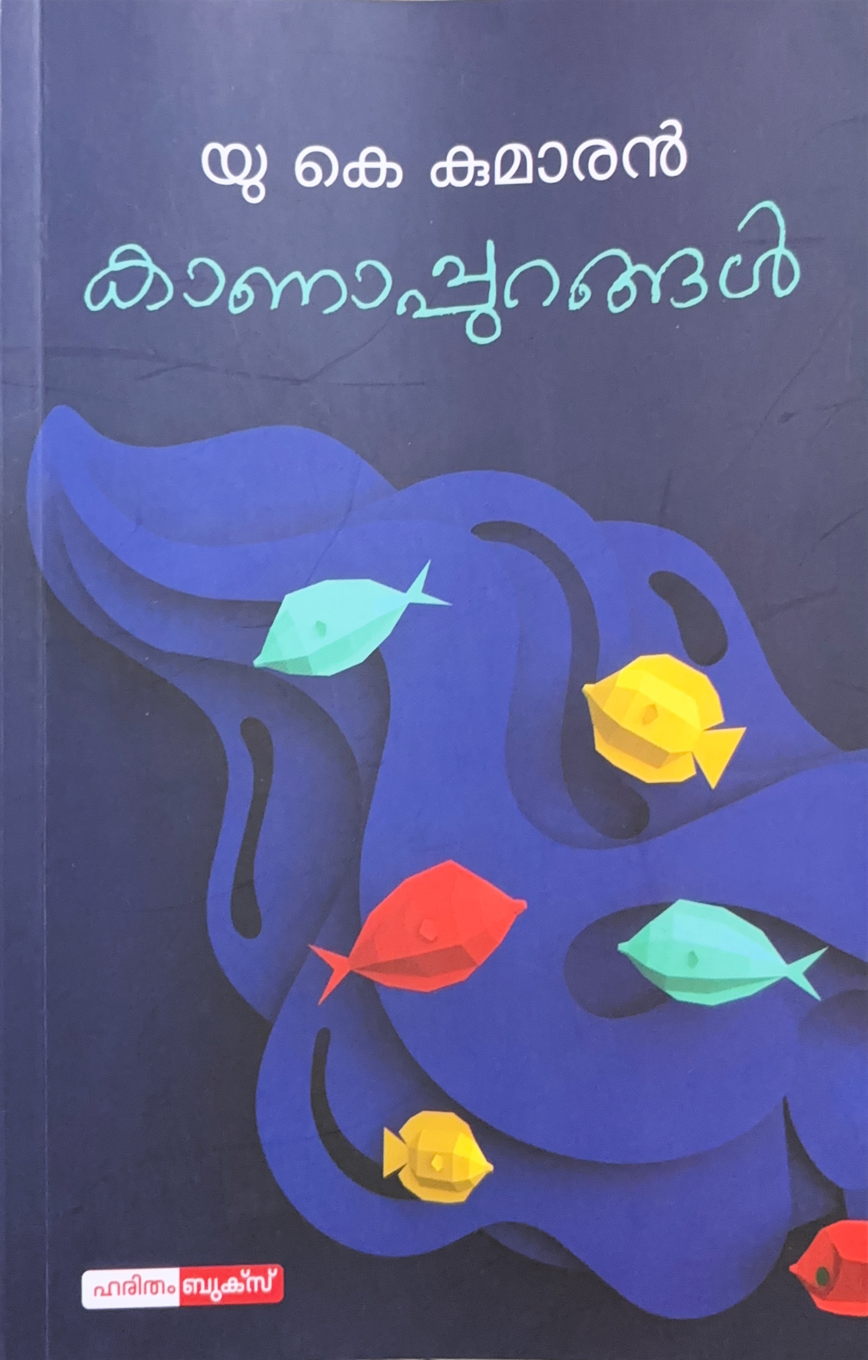 Kanappurangal | കാണാപ്പുറങ്ങൾ (Paperback)
