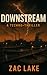 Downstream: An Engineered Pathogen. A Global System. One Last Chance.