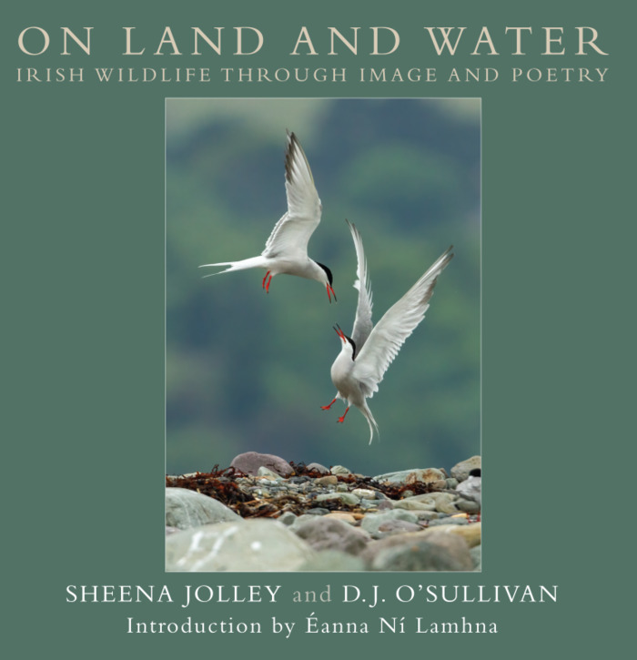 On Land and Water: Irish Wildlife through Image and Poetry (Hardcover)