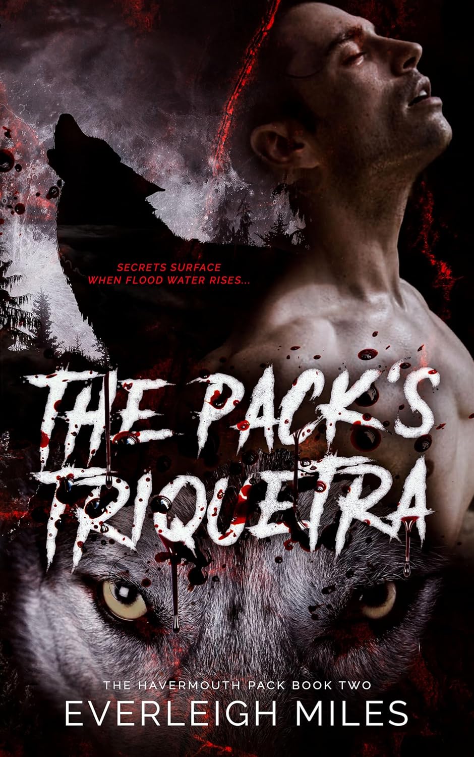 The Pack's Triquetra (Havermouth's Pack #2)