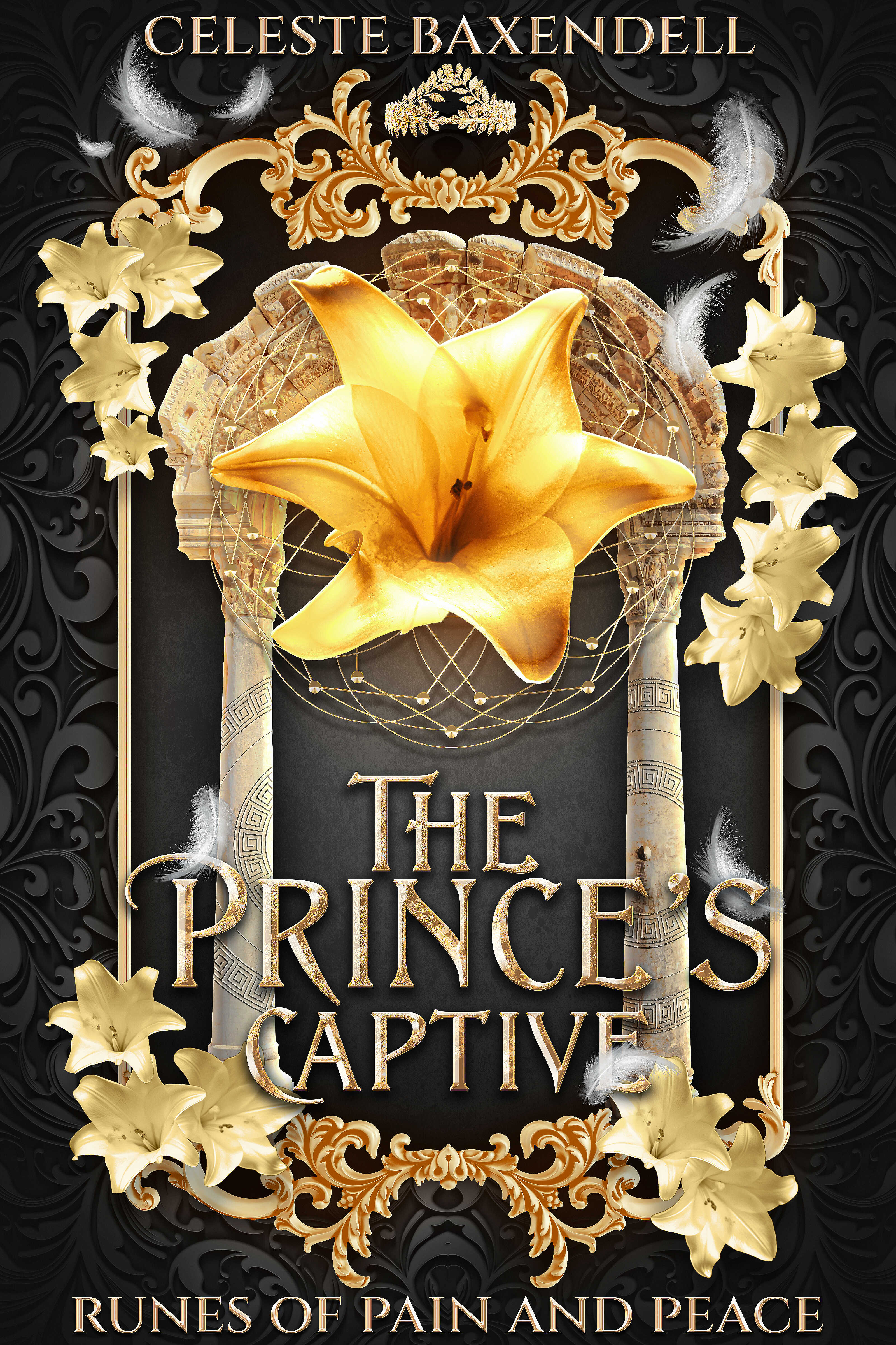 The Prince's Captive (Runes of Pain and Peace, #1)