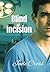 Blind Incision: A Novel