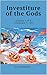 Investiture of the Gods: Volume 1 of 4 (Chapters 1 - 25)