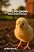 The Little Chicken Who is Afraid of the Dark by Mark McCray