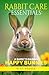 Rabbit Care Essentials: A G...