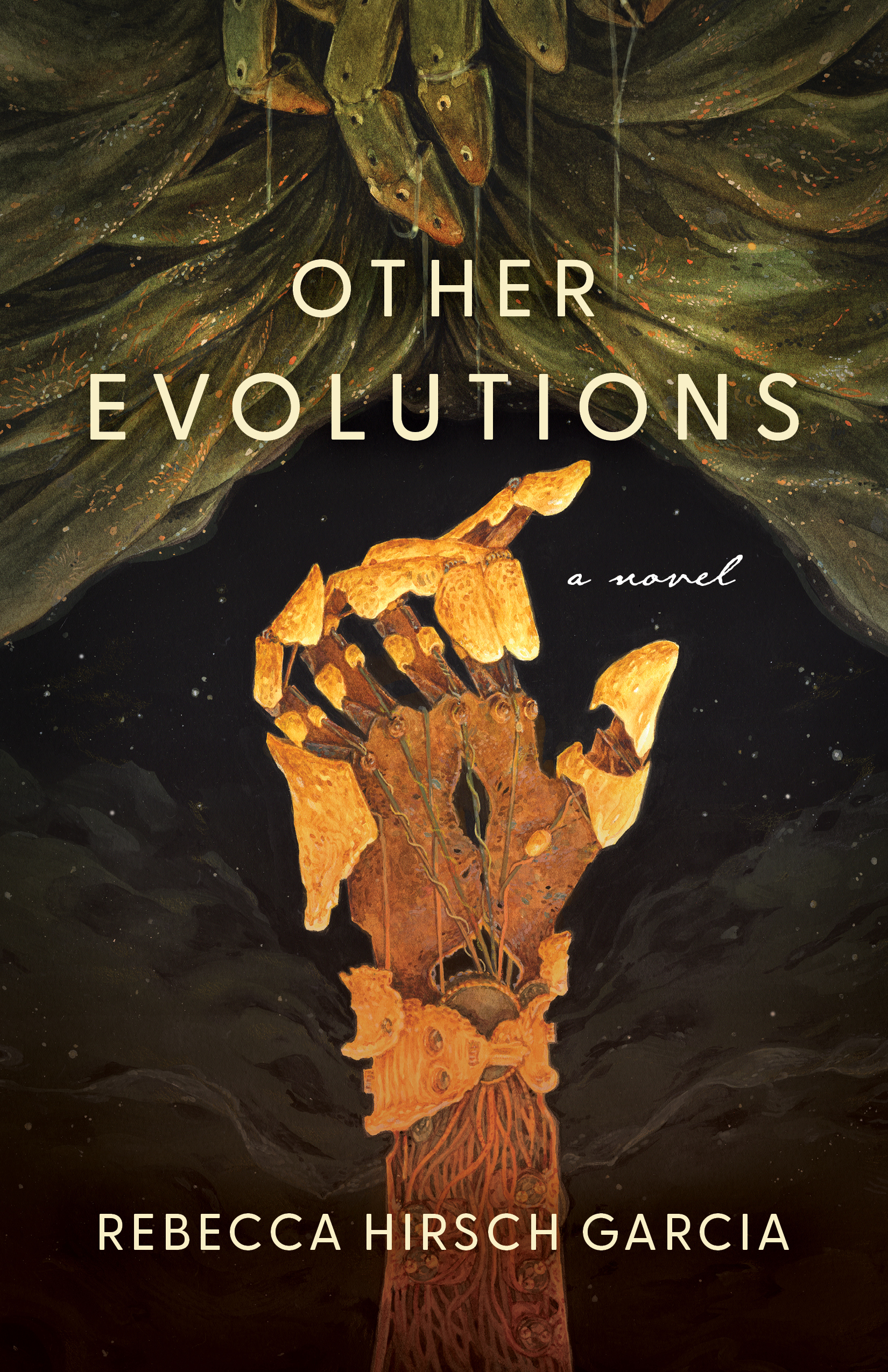 Other Evolutions (Paperback)
