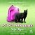 Cat Got Your Killer (Second Chance Cat Mystery #12)