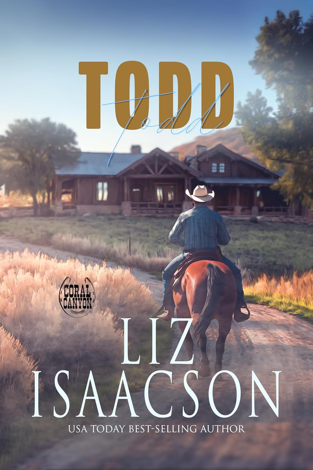 Todd (Christmas in Coral Canyon #5)