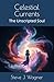 Celestial Currents by Steve   Wagner
