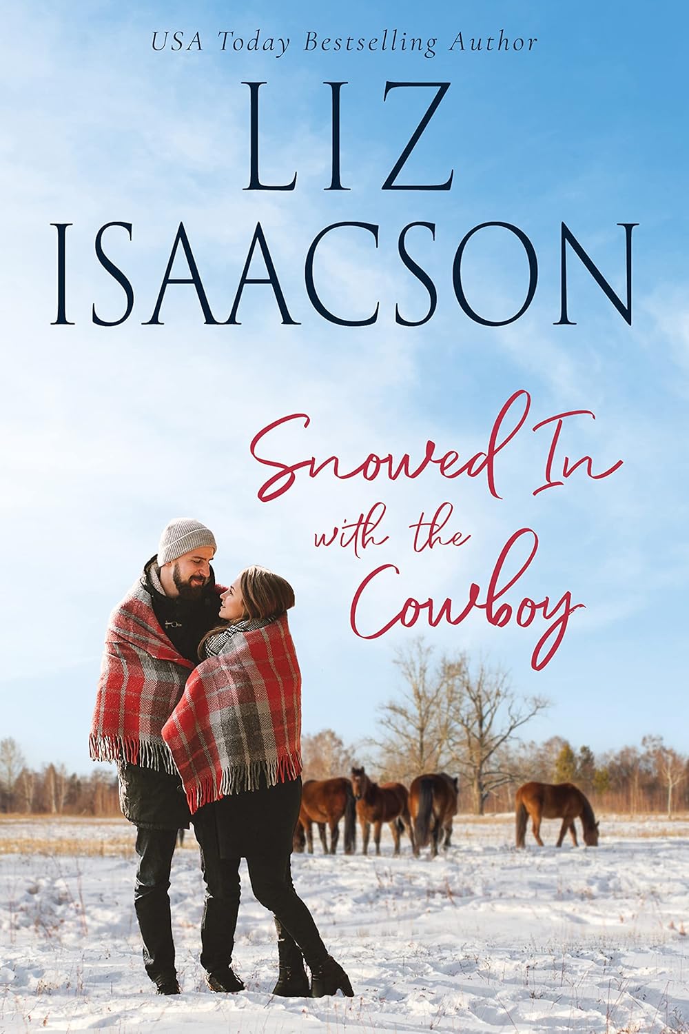 Snowed in With the Cowboy (Horseshoe Home Ranch #2)
