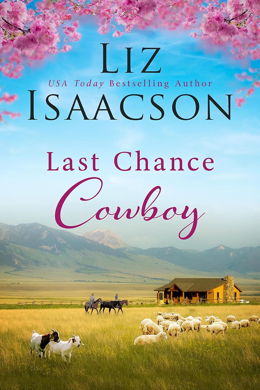 Last Chance Cowboy (Last Chance Ranch #2)