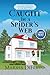 Caught in a Spider's Web