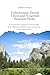 Yellowstone, Grand Teton and Yosemite National Park Guide 2025 by Everett Trails