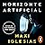 Horizonte artificial