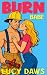 Burn Babe: A fake fiancé. A...