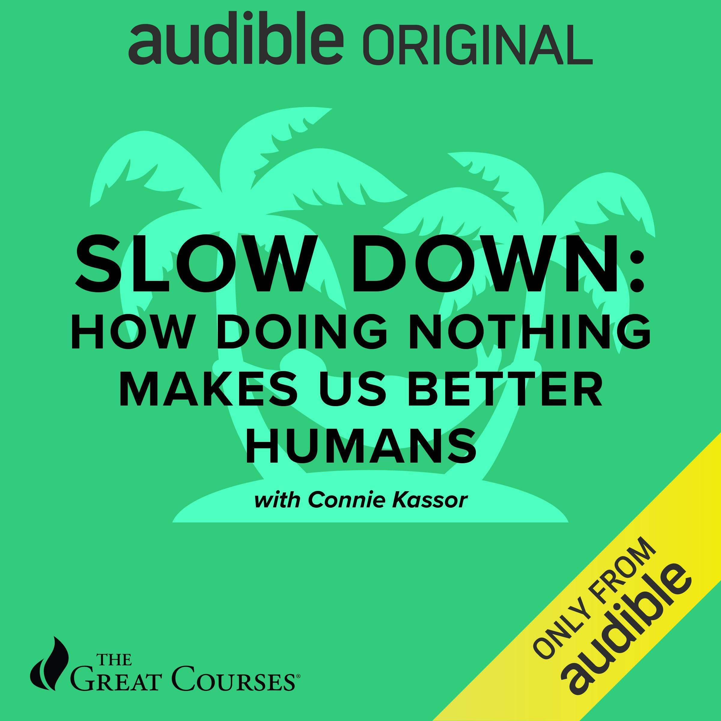 Slow Down: How Doing Nothing Makes Us Better Humans (Audible Audio)