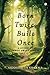Born Twice, Built Once: A G...