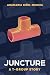 Juncture: A T-group Story