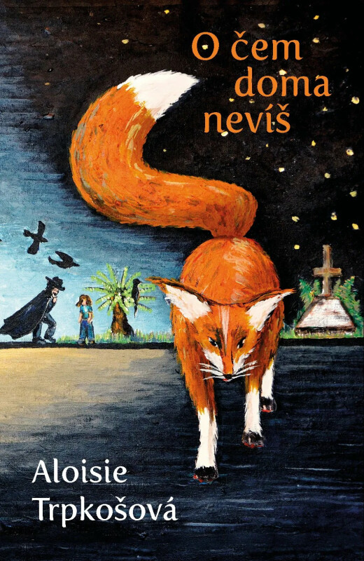 O čem doma nevíš (Paperback)