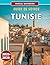 Guide De Voyage Tunisie 2025-2026 by Pascal Davidson