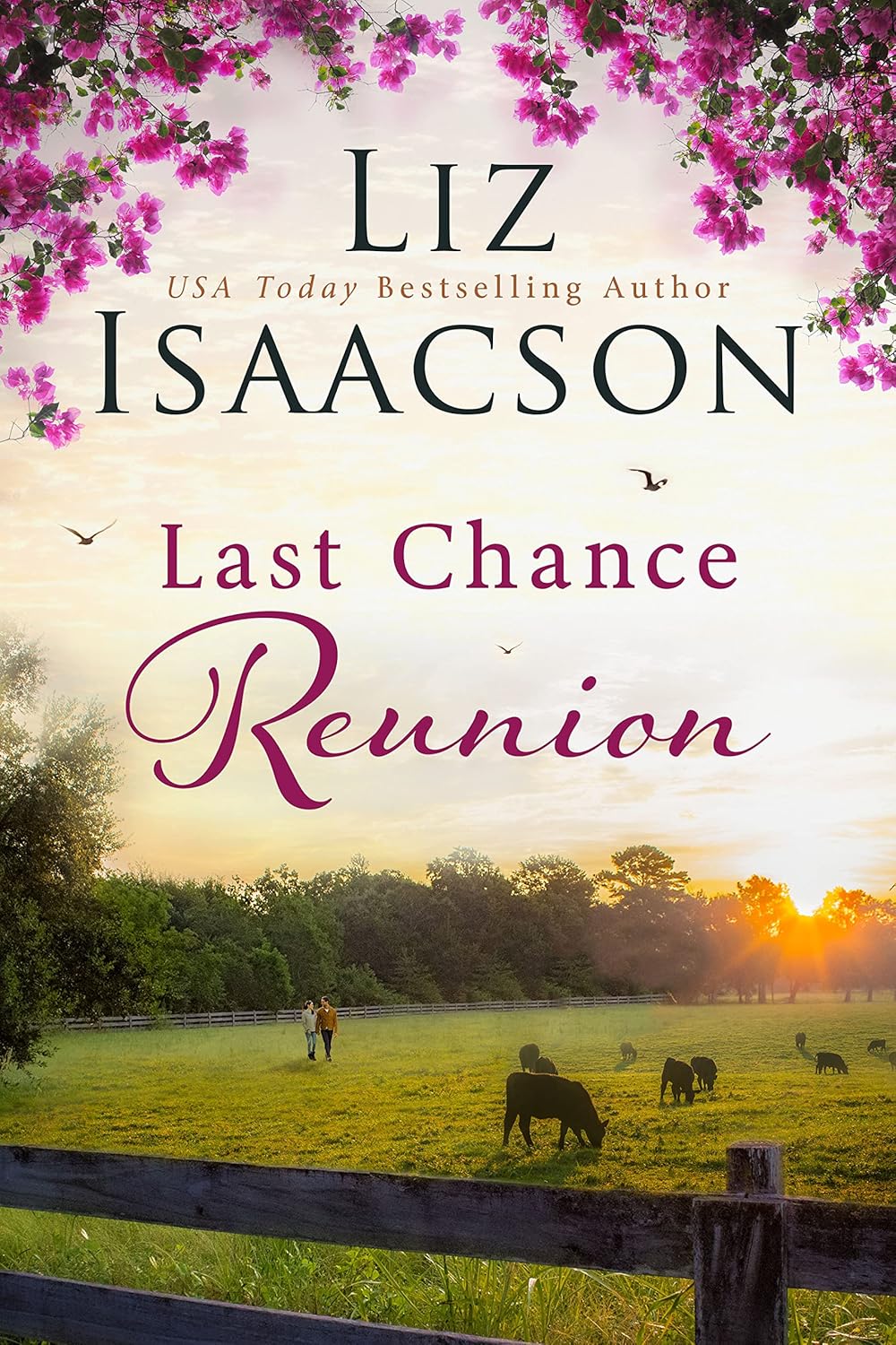 Last Chance Reunion (Last Chance Ranch #4)