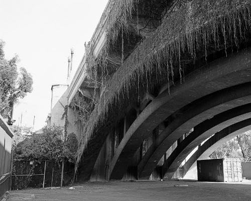 North North South (Hardcover)