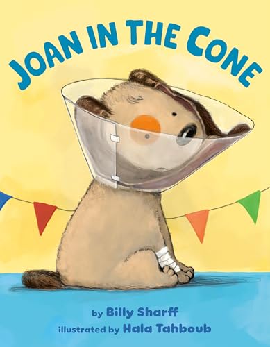 Joan in the Cone (Hardcover)