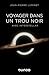 Voyager dans un trou noir: avec Interstellar