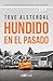 Hundido en el pasado: Tercera entrega de la serie nórdica Costa Alta (Spanish Edition)