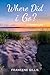Where Did i Go? a Memoir Plus by Francene  Gillis