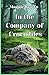 In the Company of Crocodiles