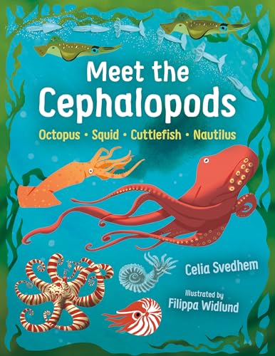 Meet the Cephalopods: Octopus, Squid, Cuttlefish, Nautilus (Hardcover)