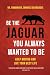 Be the Jaguar You Always Wanted to Be by Dr Emmanouil (Manos) Georgi...