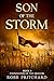 Son of the Storm: (Foundation of the Dragon Series: Book 5): A Dark Age Britain Epic of War, Betrayal & Courage