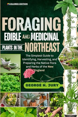 FORAGING EDIBLE AND MEDICINAL PLANTS IN THE NORTHEAST: The Simplest Guide to Identifying, Harvesting, and Preparing the Native Flora and Herbs of the New England (Paperback)