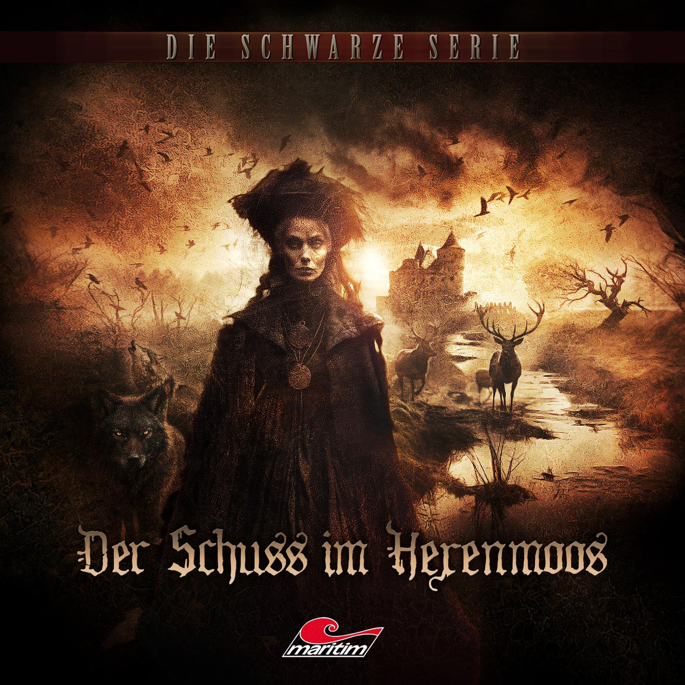 Der Schuss im Hexenmoos: Die schwarze Serie 27 (Audible Audio)