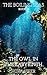 The Owl in the Labyrinth by Hûw Steer