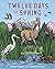Twelve Days of Spring
