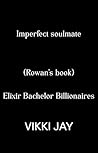 Imperfect Soulmate by Vikki Jay