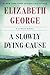A Slowly Dying Cause by Elizabeth  George
