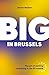 Big in Brussels: The art of working and living in the EU Bubble
