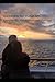 Marital Arts Not Martial Arts by Jason Webb