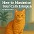How to Maximize Your Cat’s ...